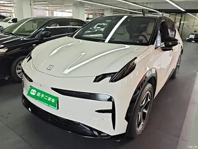 2025 ZEEKR X 5-Seater RWD Edition, фото 2, лот 10428823