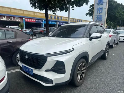 2020 Baojun RS-3 1.5L CVT 24-hour Online Elite Model, фото 1, лот 11134468