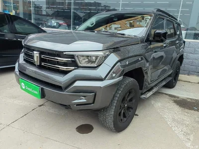 2024 Tank 400 New Energy Hi4-T Off-Road Edition, фото 1, лот 10345581