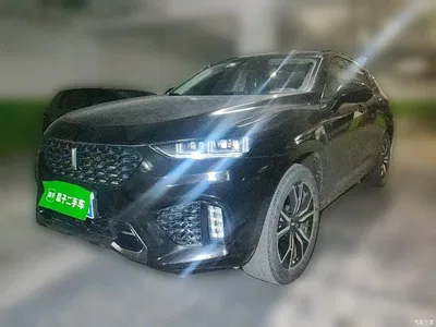 2017 WEY VV7 2.0T Flagship, фото 1, лот 10451925