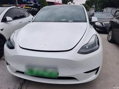 2023 Tesla Model Y Rear-Wheel Drive Edition, фото 3, лот 10374212
