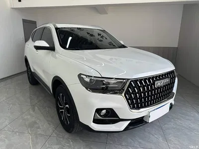 2023 Haval H6 National Trend Edition 1.5T Automatic Urban, фото 3, лот 10299380