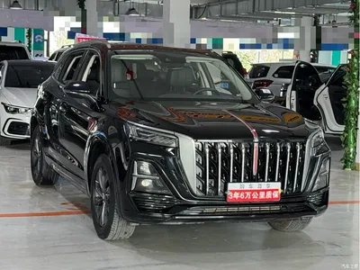 2023 Hongqi HS5 2.0T Flag Pro 500,000 Units Commemorative Edition, фото 3, лот 10289016