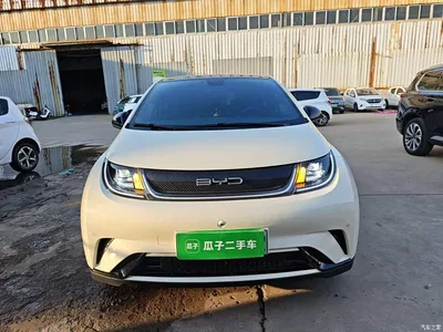 2023 BYD Dolphin 420km Fashion Edition, фото 3, лот 11570264