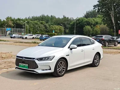 2018 BYD Qin Pro New Energy EV500 Smart Connected Leader Glory, фото 1, лот 10957809