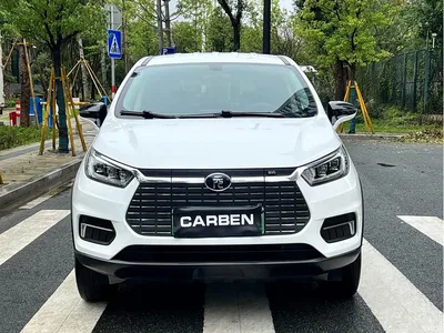 2019 BYD Yuan New Energy EV535 Smart Connected Trend Leader Type, фото 2, лот 10273355