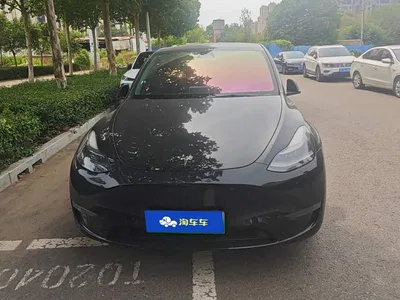 2021 Tesla Model Y Standard Range Rear-Wheel Drive, фото 2, лот 10395884