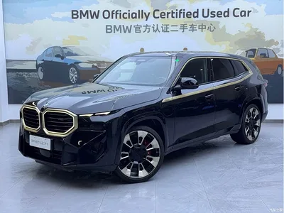 2023 BMW XM Model Base, фото 2, лот 10420506