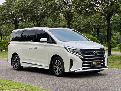 2021 GAC Trumpchi Trumpchi M8 Leading Show Series 390T Luxury Edition, фото 3, лот 10625869