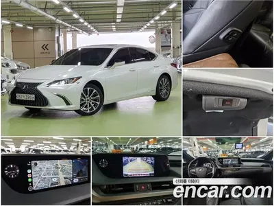 2020 Lexus ES 300h Luxury, фото 1, лот 10033503