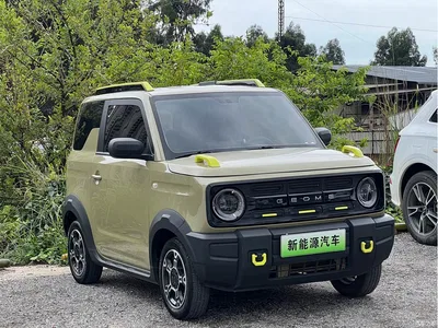 2024 Geely Galaxy Panda 200km Panda Knight, фото 3, лот 10430493