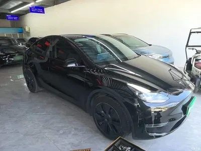2023 Tesla Model Y Long Range All-Wheel Drive Edition, фото 4, лот 10370260