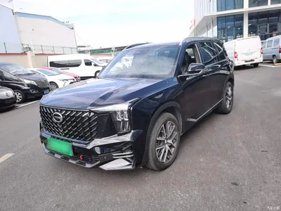 2022 GAC Trumpchi Trumpchi GS8 Pilot Series 2.0TGDI 2WD Luxury Smart Connect Edition (7-Seater), фото 1, лот 11301729