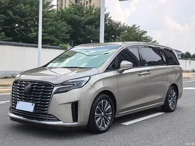 2023 Buick GL8 ES Landmaster Luxury, фото 1, лот 10254528