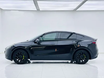2022 Tesla Model Y Rear-Wheel Drive Version, фото 4, лот 10674794
