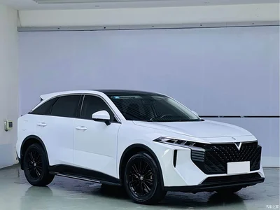 2021 Venucia Big V 260T Idol Edition, фото 3, лот 11146675