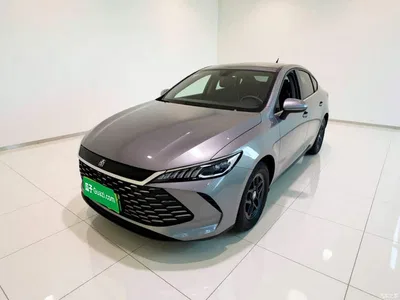 2025 BYD Qin PLUS DM-i Smart Drive 55KM Leader, фото 1, лот 11584379