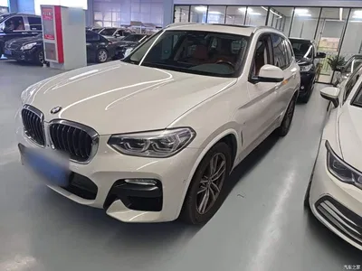 2018 BMW X3 xDrive30i Leading M Sport Package China V, фото 1, лот 11097337