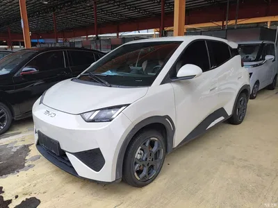 2025 BYD Seagull Smart Drive Edition 405km Free Edition, фото 1, лот 10260428