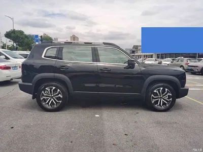 2024 Haval Big Dog 1.5T DCT Border Collie Edition, фото 4, лот 10362009