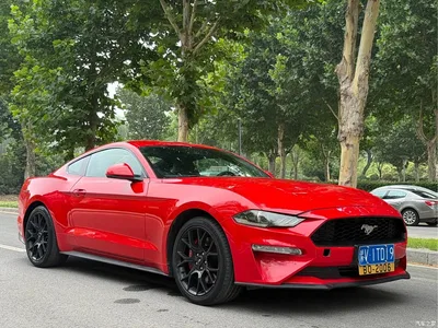 2019 Ford Mustang 2.3L EcoBoost, фото 3, лот 10280107