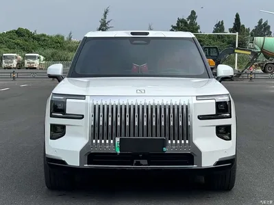 2025 ZEEKR 9X Standard Edition, фото 2, лот 10481457