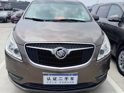 2017 Buick GL8 25S Comfort China V, фото 2, лот 10250138