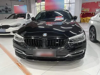 2019 BMW 5 Series 525Li Luxury Package, фото 3, лот 10598282