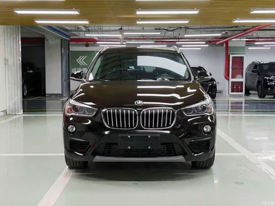 2018 BMW X1 sDrive20Li Leading Model, фото 2, лот 10464918