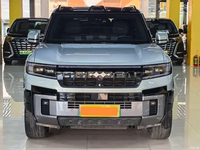 2025 Byd Leopard 8 Zhiyong Flagship 7-Seater, фото 2, лот 11459799