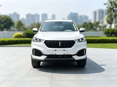 2018 WEY VV6 2.0T 2WD Super Luxury China V, фото 2, лот 10516246