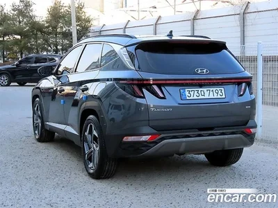 2023 Hyundai Tucson Diesel 2.0 4WD, фото 2, лот 10337002