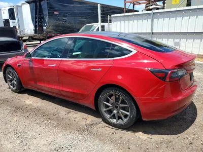 2019 TESLA MODEL 3, фото 2, лот 10649714