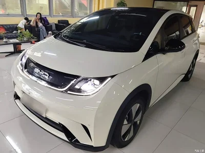 2023 BYD Dolphin 420km Fashion Edition, фото 1, лот 10259726