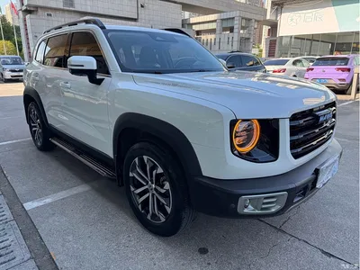 2021 Haval Big Dog 1.5T DCT 2WD Border Collie Edition, фото 3, лот 10414640