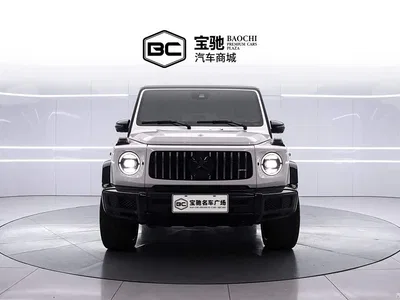 2019 Mercedes-Benz G-Class G 500, фото 2, лот 10253432