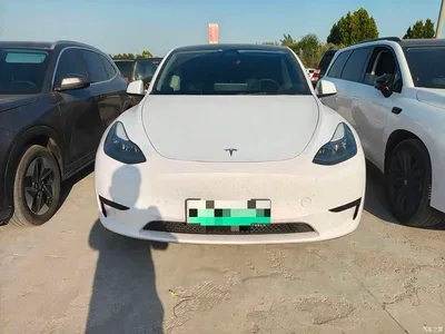 2024 Tesla Model Y Rear-Wheel Drive Version, фото 2, лот 10887547