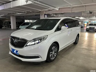 2017 Buick GL8 ES 28T Flagship China V, фото 1, лот 11114059