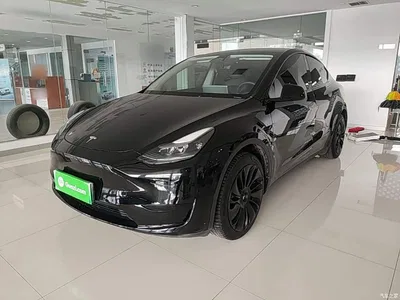 2022 Tesla Model Y Facelift Rear-Wheel Drive Version, фото 1, лот 11141122