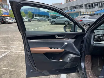 2021 BYD Tang New Energy DM-i 112KM Premium, фото 4, лот 11089006