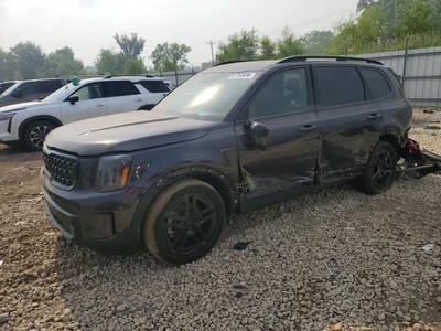 2025 KIA TELLURIDE SX-PRESTIGE X-LINE, фото 1, лот 10776026