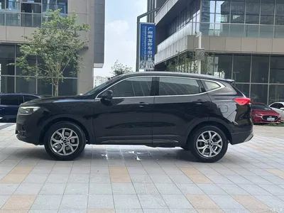 2021 Haval H6 National Trend Edition 2.0GDIT Automatic Champion, фото 4, лот 11221460