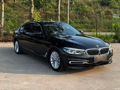 2019 BMW 5 Series New Energy Facelift 530Le Luxury Package, фото 3, лот 10474161