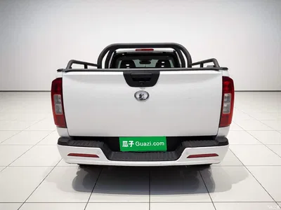 2021 Great Wall Pao 2.0T Commercial Edition Automatic Gasoline 2WD Elite Long Box GW4C20B, фото 3, лот 10386426