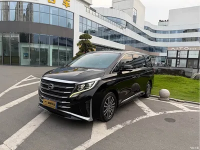 2021 GAC Trumpchi Trumpchi M8 Leading Show Series 390T Prestige Edition, фото 1, лот 10414225