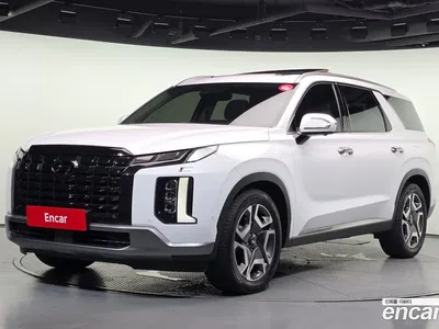 2024 Hyundai Palisade Diesel 2.2 2WD, фото 1, лот 10173238