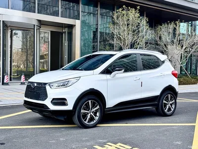 2019 BYD Yuan New Energy EV535 Smart Connection Leading Type, фото 1, лот 10402020