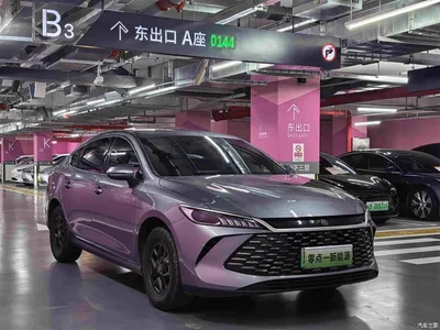 2026 BYD Qin PLUS DM-i 128KM Progressive, фото 3, лот 10359659