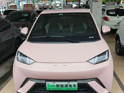 2024 BYD Seagull Glory Edition 305km Vitality Edition, фото 2, лот 10679848