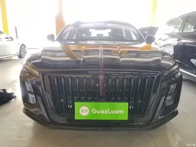 2025 Hongqi H5 2.0T Automatic Mystic Shadow 2 Million Edition, фото 3, лот 11468493